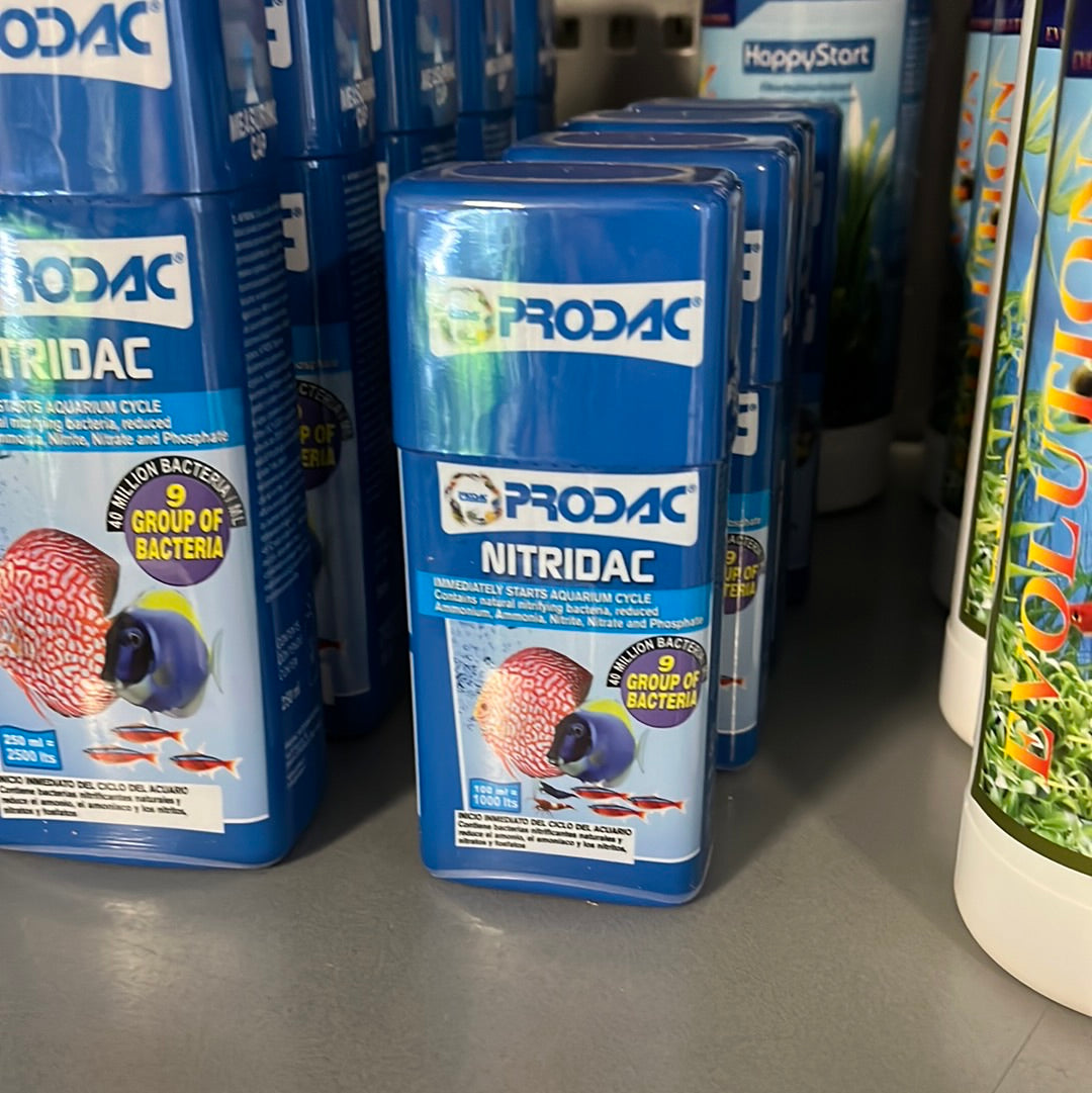Prodac Nitridac 100ml