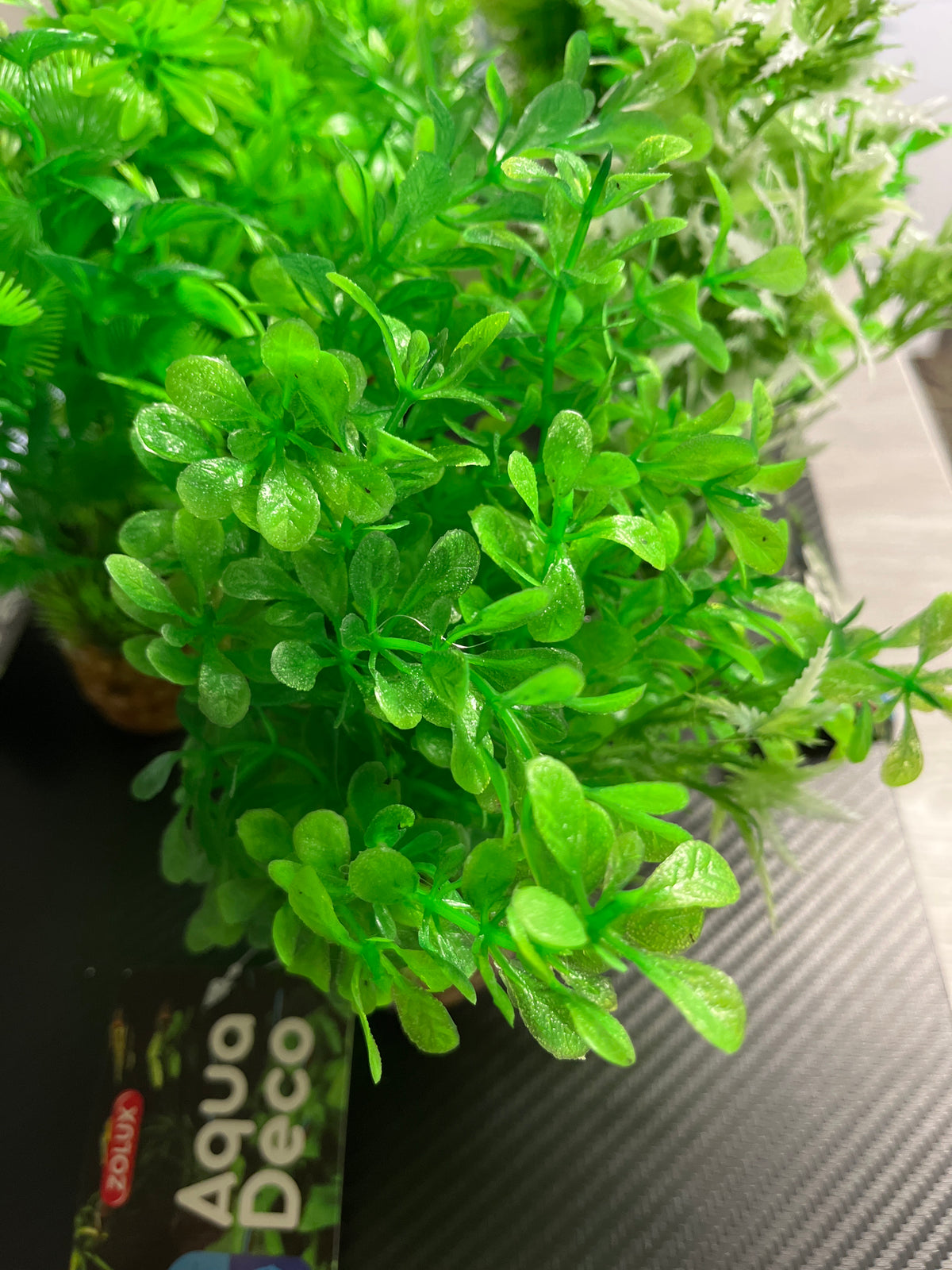 Zolux Aqua deco muovikasvi M