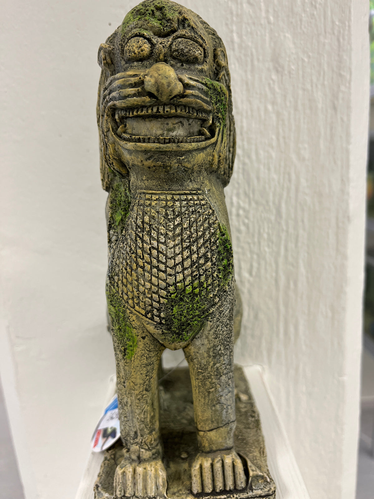 Hap Pet Akvaariokoriste itämainen leijona 23cm