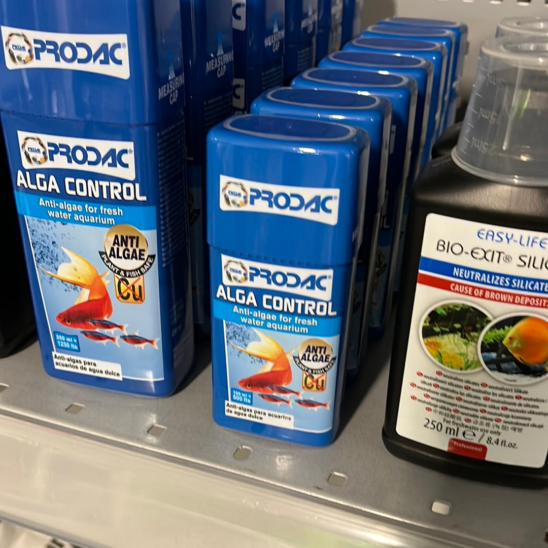 Prodac Alga Control 100ml