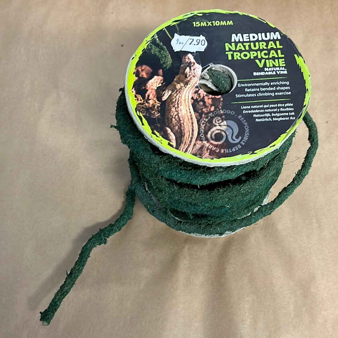 Komodo Liaani, vihreä 1m