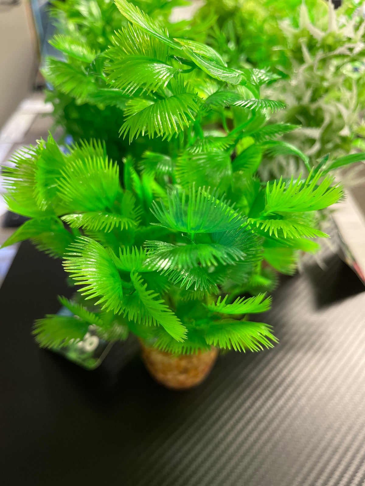 Zolux Aqua deco muovikasvi M