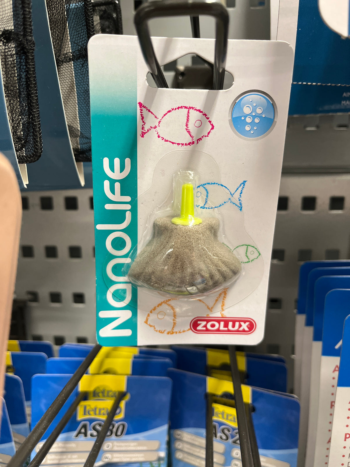 Zolux Ilmastinkivi simpukka