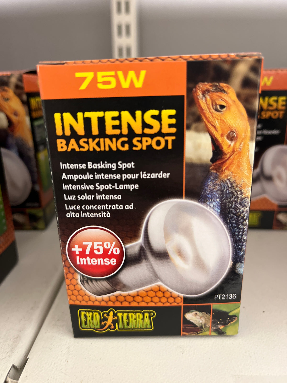 Exoterra Intense basking spot 75W
