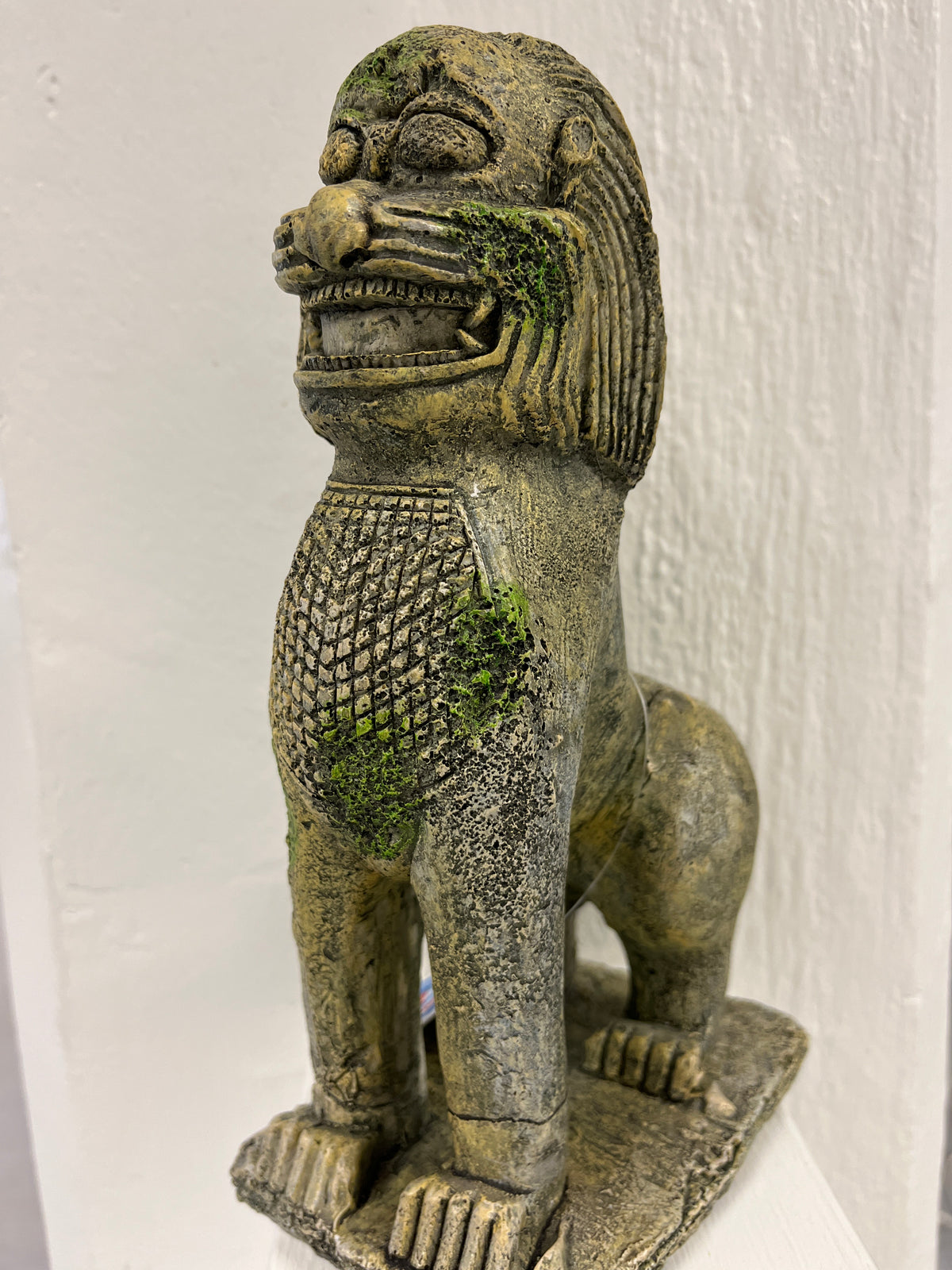 Hap Pet Akvaariokoriste itämainen leijona 23cm