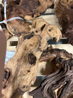 Hobby Mopani koristejuurakko