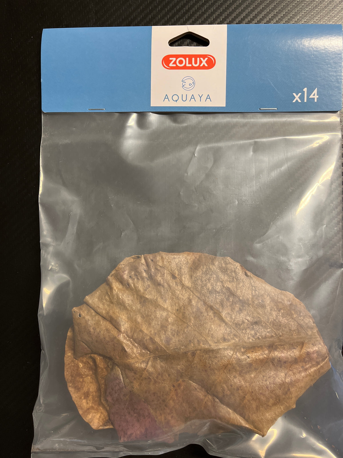 Zolux Catappa lehti M-L 20cm