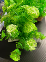 Zolux Aqua deco muovikasvi M