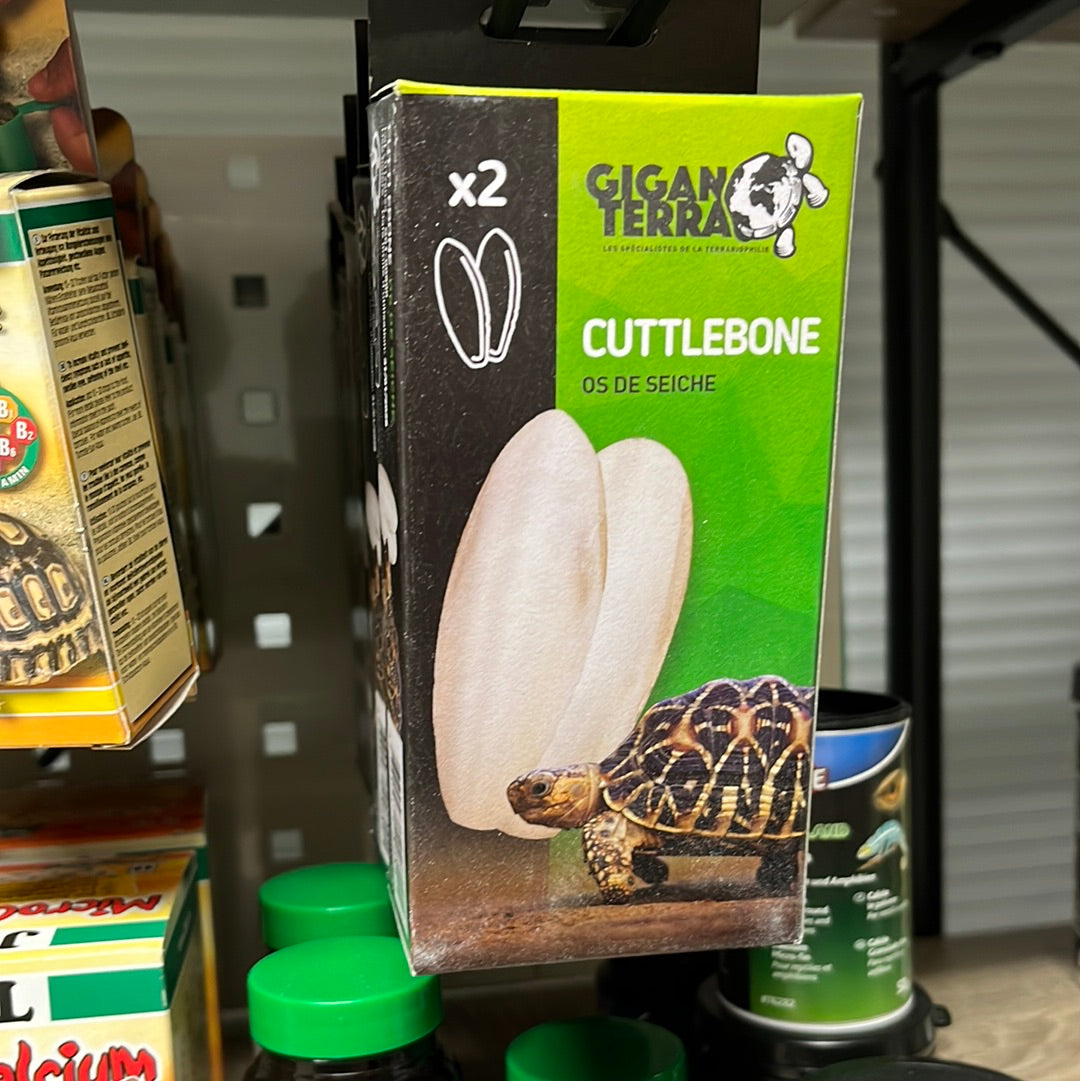 Giganterra Cuttlebone 2x