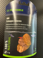 Dennerle Catappa leaves 12kpl