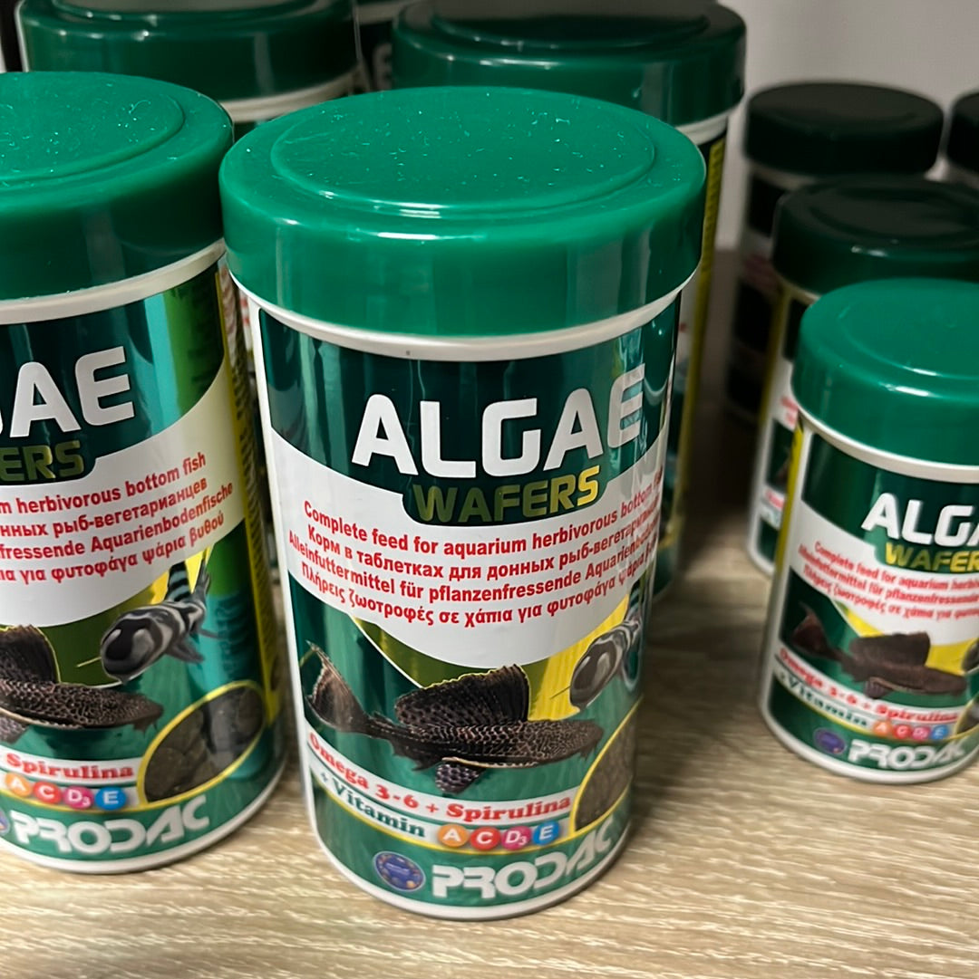 Prodac Algae wafers 250ml