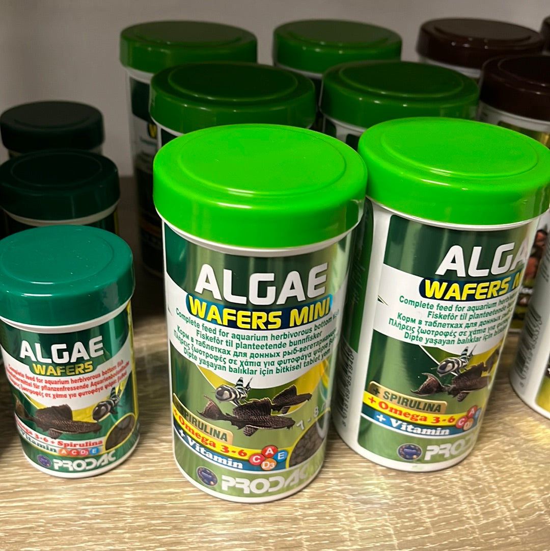 Prodac Algae wafers mini 250ml