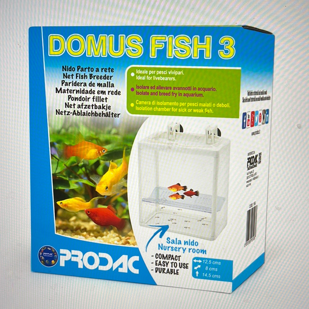 Prodac Poikasallas domus fish 3