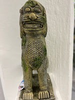 Hap Pet Akvaariokoriste itämainen leijona 23cm