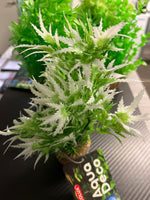 Zolux Aqua deco muovikasvi M