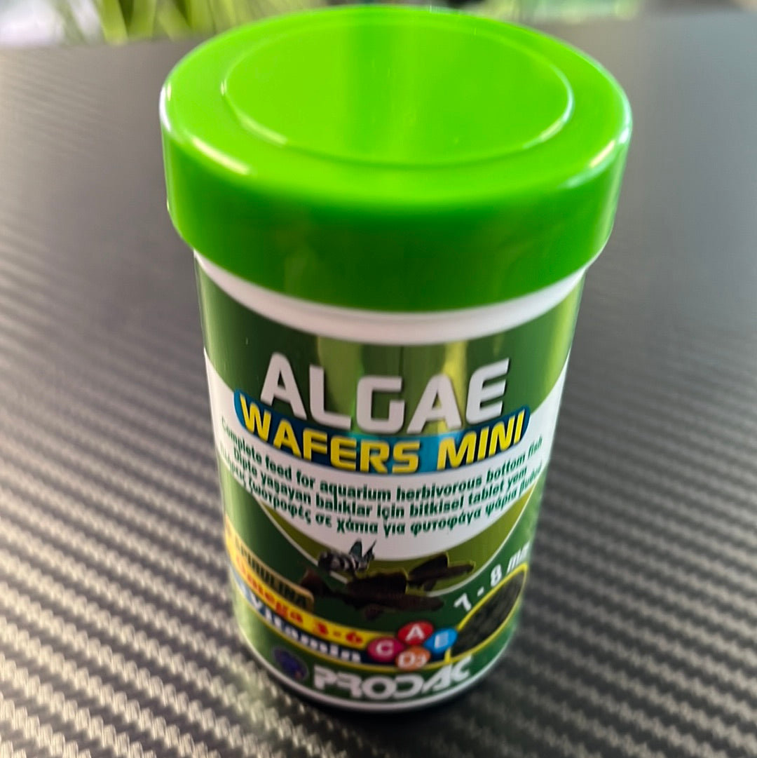 Prodac Algae wafers mini 100ml