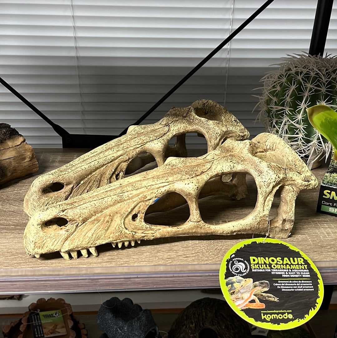 Komodo Raptor skull XL 30cm