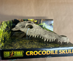 Exoterra Crocodile skull