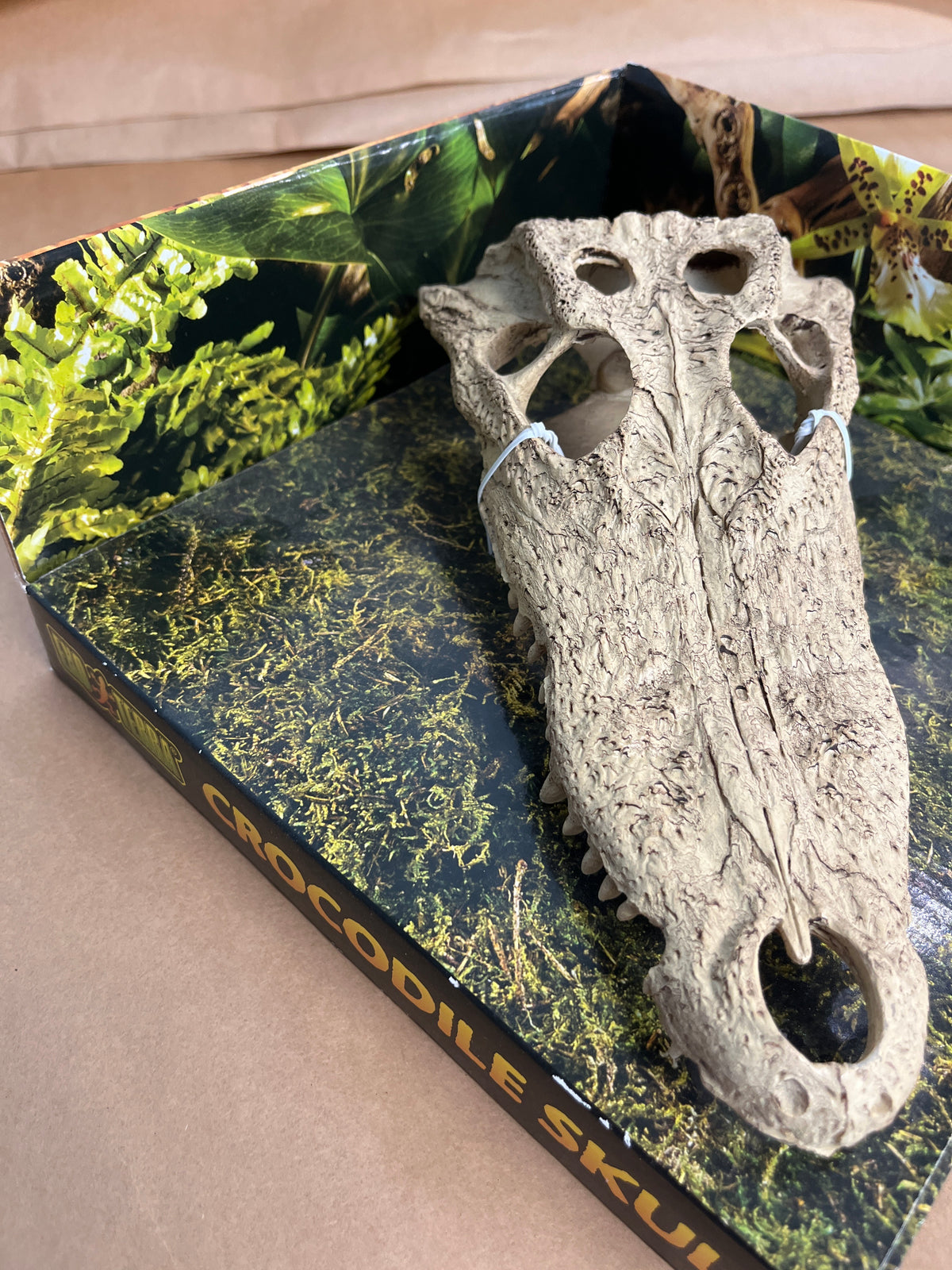 Exoterra Crocodile skull