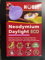 Hobby Neodymium 70W daylight ECO UV-A lämpölamppu