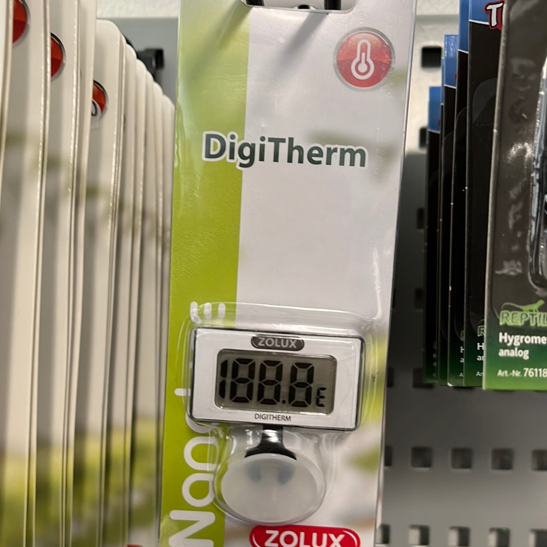 Zolux Lämpömittari digitherm lasin sisäpuolelle