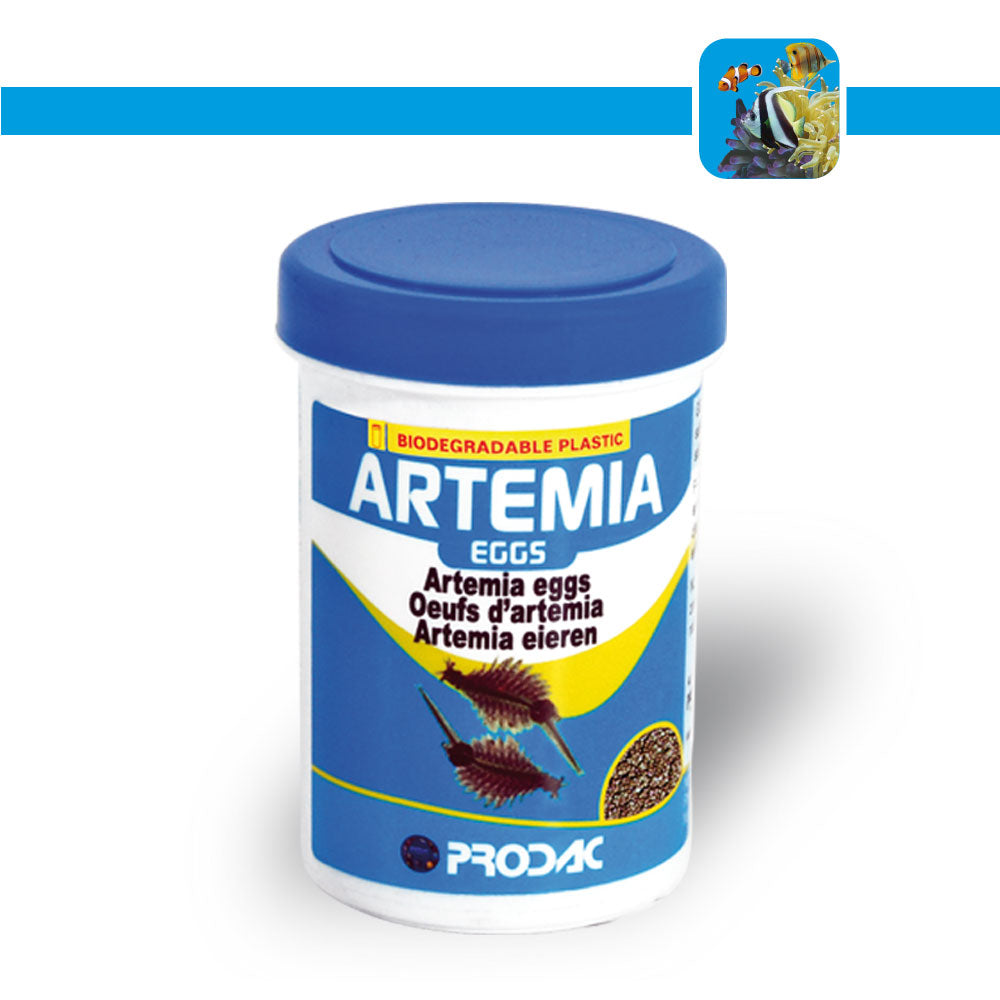 Prodac Artemia eggs 50ml