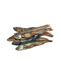 Prodac Tartafood fish 1200ml/200g